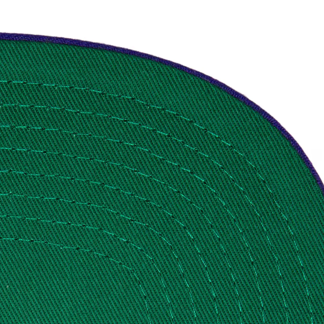 Mitchell & Ness Charlotte Hornets Hardwood Classics Logo Shine Snapback - White/Purple