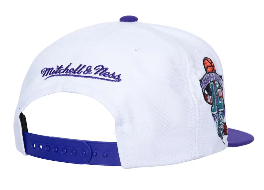 Mitchell & Ness Charlotte Hornets Hardwood Classics Logo Shine Snapback - White/Purple