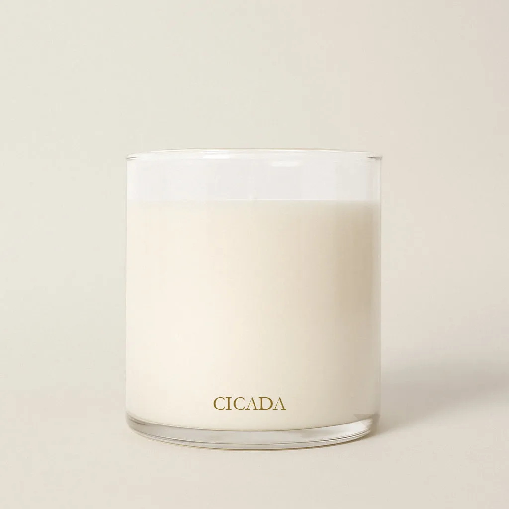 No. 10 - "The Scent of the Ancient Plateau" Candle